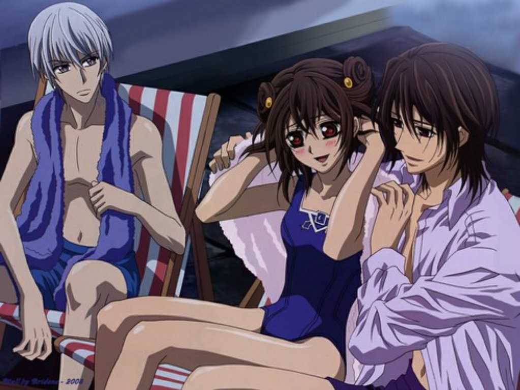 Vampire knight season 3: release date out? continuing manga?