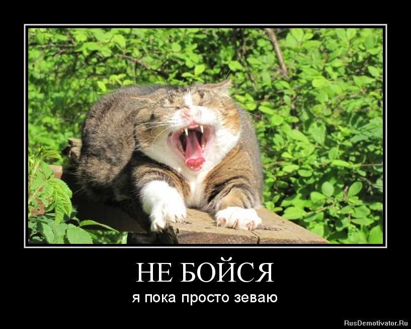 «мы все мертвы», сезон 2: что известно на данный момент