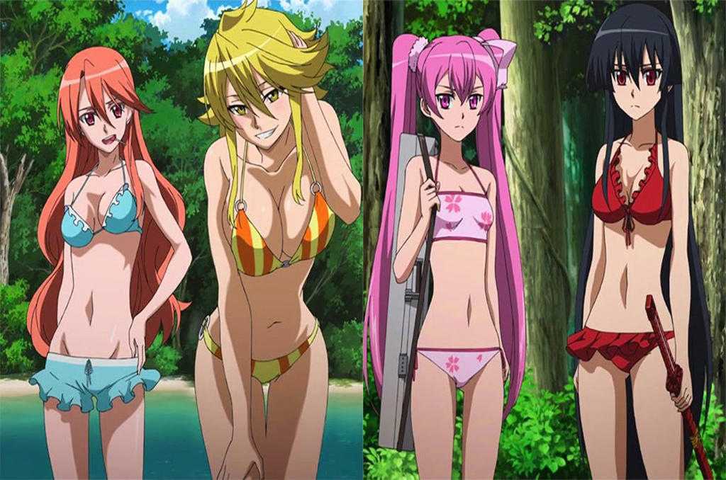 Akame ga kill season 2: is it cancelled?