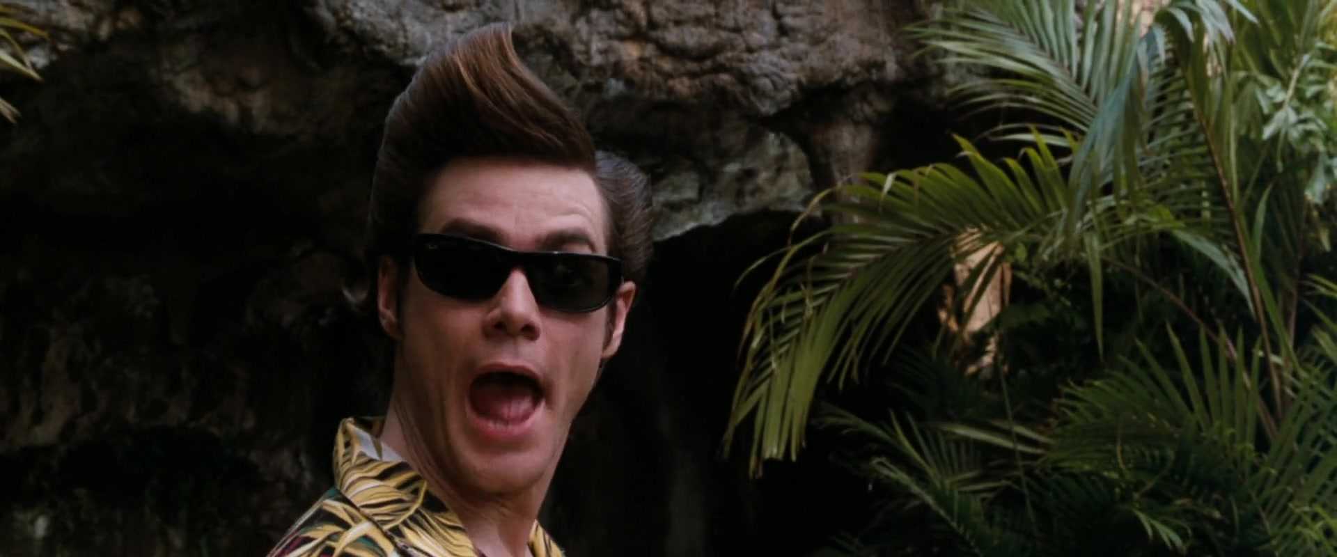 Перезапуск эйса вентуры - новости о ремейке фильма ace ventura, другие части, актеры, студия morgan creek