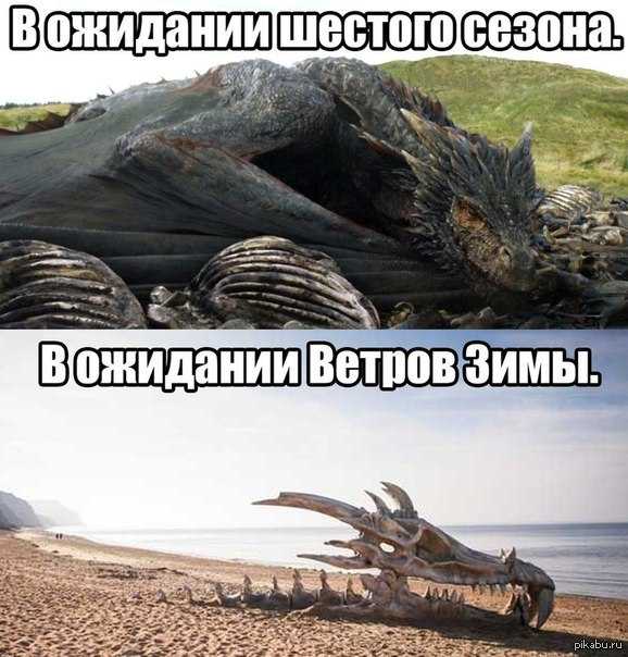 Дата выхода «ветра зимы» случайно утечена джорджем р.р. мартином
